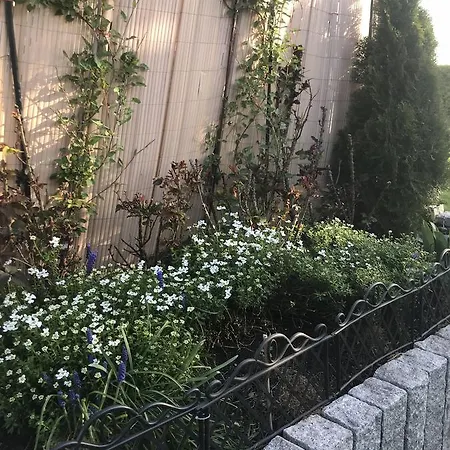 בית אירוח Secondhelp אולם